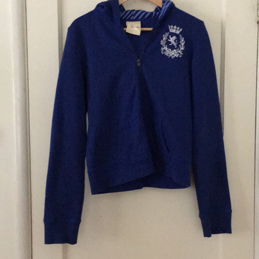 Blue Express Hoodie